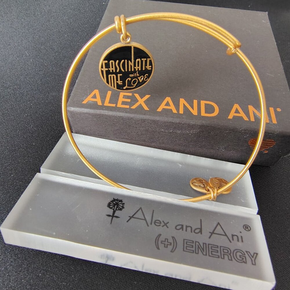 Discontinued Alex and Ani Fascinate Me With Love  812